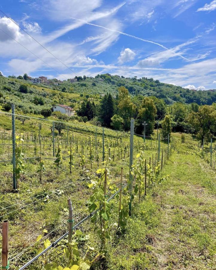 Aparthotel Donna Vittori - Borgo Agricolo Paliano Exterior foto
