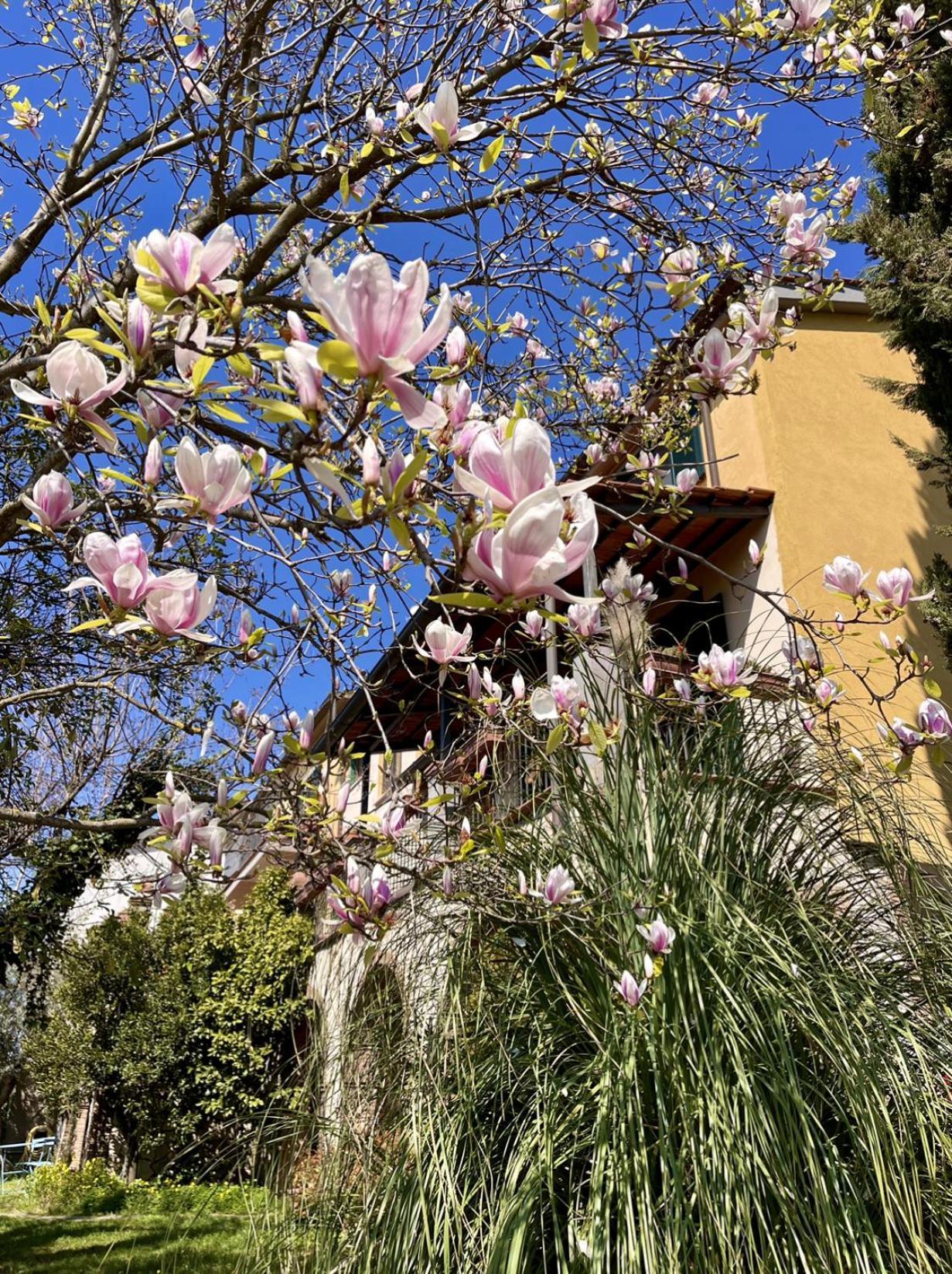 Aparthotel Donna Vittori - Borgo Agricolo Paliano Exterior foto